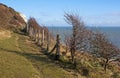 White cliffs of Dover by the sea.