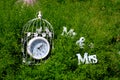 White clock in birds cage