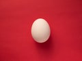 White close up egg isolated on red paper background. Minimalism concept Royalty Free Stock Photo