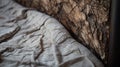 Rustic Charm In Lycra Bed With Natural Wood Texture