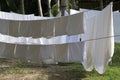 The white cloth is exposed to the sun on the clothesline. Royalty Free Stock Photo