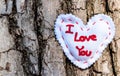 A white cloth heart with I love you embroidered upon on an oak tree Royalty Free Stock Photo