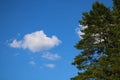 White cloud and green tree against the blue sky Royalty Free Stock Photo