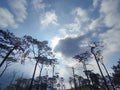 Clouds in the blue sky and view tree. Royalty Free Stock Photo