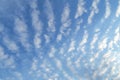 White clouds and blue sky. beautiful altocumulus undulatus clouds with blue sky. nature background Royalty Free Stock Photo