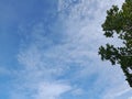 White clouds in the blue sky. Beautiful bright blue background. Light cloudy, good weather. Curly clouds on a sunny day. Royalty Free Stock Photo