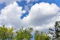 White clouds in a blue sky and green tree tops Royalty Free Stock Photo