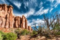 Dead trees and bushes in front of the cliffs and red rock in Colorado National Monument Royalty Free Stock Photo