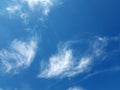 White clouds in a Blue Sky of the Spring season. Sense of Big calm, Light colors and immensity Royalty Free Stock Photo