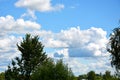 White clouds float across the blue sky like a forest. Beautiful atmospheric phenomenon. Natural horizontal background