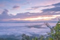 White clouds or fog at sunrise time with cloud scape Royalty Free Stock Photo