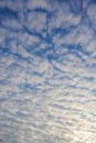 White clouds are forming beautifully across the blue sky with dramatic contrasts and a rare cloud pattern in winter. beautiful