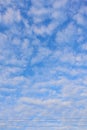 White clouds are forming beautifully across the blue sky with dramatic contrasts and a rare cloud pattern in winter. beautiful