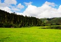 White clouds, mountain forest, grassland, shangri-la scenery