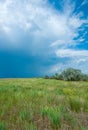 White clouds over the Blooming Steppe near the Tiligul estuary, Ukraine