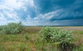 White clouds over the Blooming Steppe near the Tiligul estuary, Ukraine