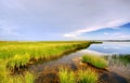 White clouds and wetland