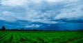 White cloudy sky and blue sky background over the local rice fields in countryside landscape of Thailand Royalty Free Stock Photo