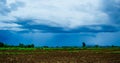 White cloudy sky and blue sky background over the local rice fields in countryside landscape of Thailand Royalty Free Stock Photo