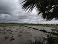 White cloudy sky evening time landscape Royalty Free Stock Photo