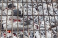 White coal ready for cooking in a barbecue grill Royalty Free Stock Photo