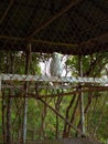 white cockatoo, kakak tua, zoo, a bird that can speak Royalty Free Stock Photo