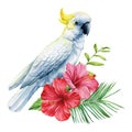 White cockatoo parrot. Tropical watercolor bird, flowers and leaves isolated on white background Royalty Free Stock Photo