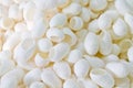 White cocoon Royalty Free Stock Photo