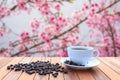 White coffee cup and coffee beans on wood table with blurred bac Royalty Free Stock Photo