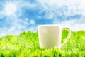 White coffee cup on green grass with blue sky and sunburst with