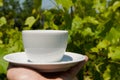 White coffee cup in hand in nature.Coffee time Royalty Free Stock Photo