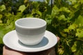 White coffee cup in hand in nature.Coffee time Royalty Free Stock Photo