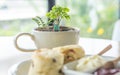 `White coffee cup with little tree and small doll