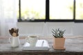 White coffee cup and white notebook and small succulent plant pot with pot of spoons on rustic brown wooden table Royalty Free Stock Photo