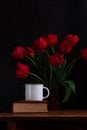 White coffee cup on old book with wooden pencil, amazing blooming red tulips bouquet black background.Dark moody low key Royalty Free Stock Photo