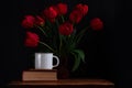 White coffee cup on old book with wooden pencil, amazing blooming red tulips bouquet black background.Dark moody low key Royalty Free Stock Photo