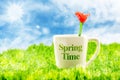 White coffee cup with spring time word and red flower made of glass on green grass with blue sky and sunburst with lenflaare