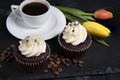 White coffee cup, two homemade cupcakes, tulips flowers and coffee beans on black stone background, homemade cake Royalty Free Stock Photo