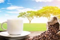 White coffee cup Royalty Free Stock Photo