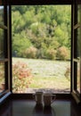 White coffee cups on the windowsill Royalty Free Stock Photo