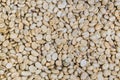 White coffee seed or unroasted raw coffee bean