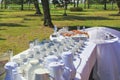 White coffee and tea mugs in rows on served catering table for outside tea party. Royalty Free Stock Photo