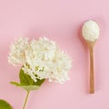 White collagen powder on a wooden spoon on a pink background with a white flower. Skin care, rejuvenation Copy space