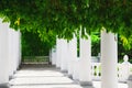 White colonnade with green plants in the park