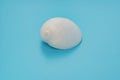 white color conch shell on blue Royalty Free Stock Photo