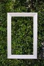 White color hanging photo frame isolated on green leaves