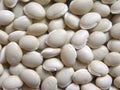 Seim bean Royalty Free Stock Photo