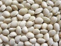 Seim beans Royalty Free Stock Photo