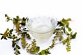 White colored Ice tea in a transparent cup isolated on white with some ice cubes and fresh bright leaves of holy basil.