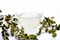 White colored Ice tea in a transparent cup isolated on white with some ice cubes and fresh bright leaves of holy basil.